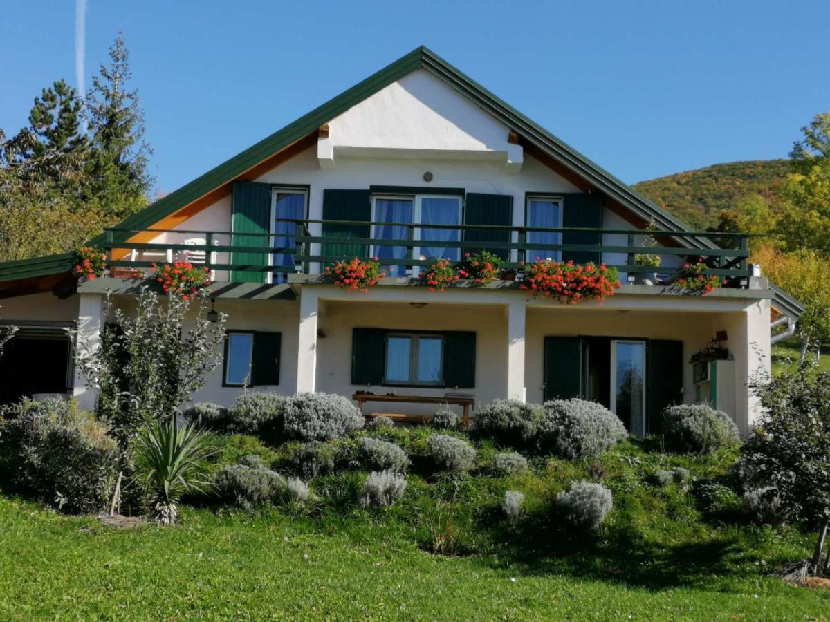 Ajda Farm stay