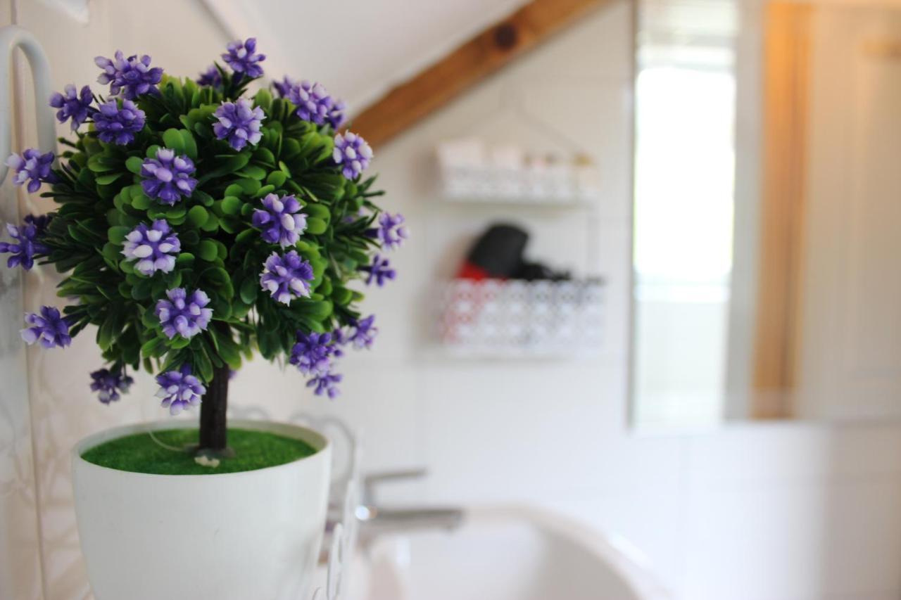 Ajda Farm stay