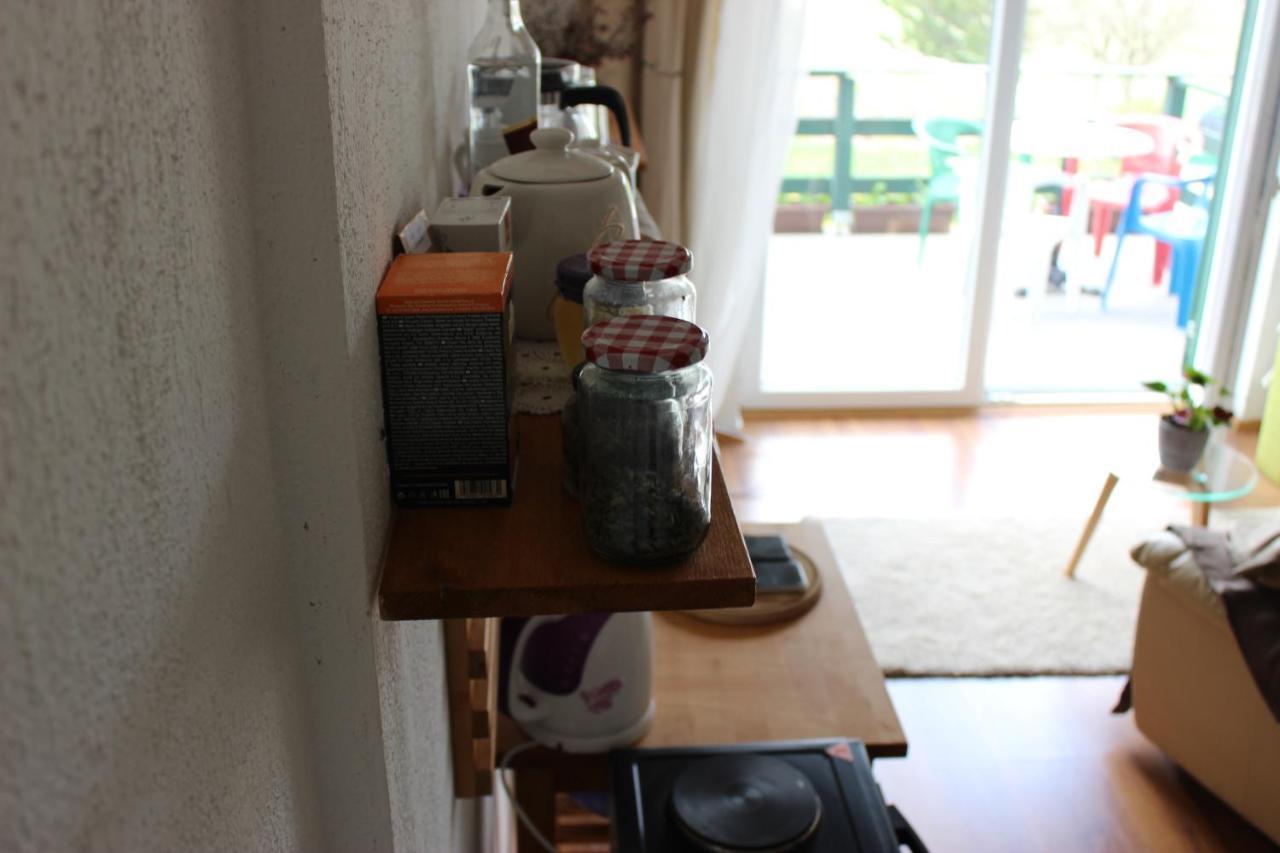 Ajda Farm stay